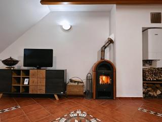 Apartma Neja Rogla - Vitanje - 9