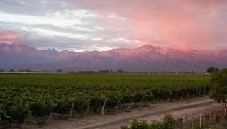 Finca La Pichona - 0