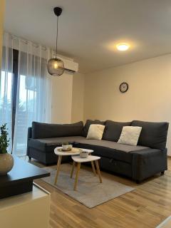 Apartman Zlatiborska smreka - Zlatibor - 9