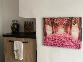 Sakura Via Napione - 6