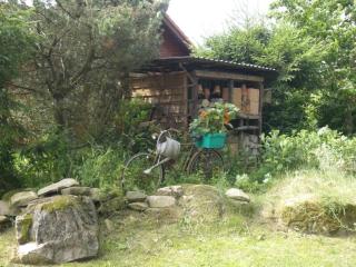 Ferienwohnung Dehnsen - 3