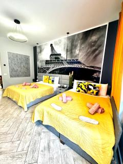Stay Inn Central Brasov Apartments - Braşov - 6