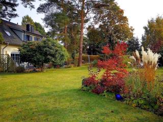 500m zum Strand - Ferienhaus Achterland - Sauna, Kamin, WLAN und ein großer Garten - Kamminke - 6