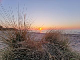 Ostseeferienpark Walkyrien - Bootsmann 08 - 1