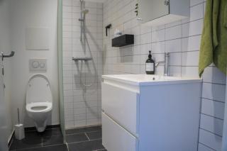 Private room in shared Copenhagen-based Apartment - Copenaghen - 5