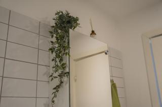 Private room in shared Copenhagen-based Apartment - 6