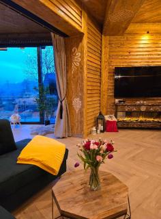 Sobiczkowy Dwór Apartamenty-Kasprowy Wierch - Kościelisko - 3