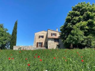 Provencal farmhouse in Luberon's heart with pool - La Bastide-des-Jourdans - 8
