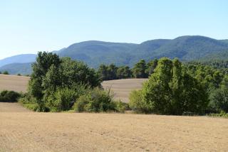 Provencal farmhouse in Luberon's heart with pool - La Bastide-des-Jourdans - 1
