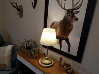 NaturLiebeHarz - Altenau - 7