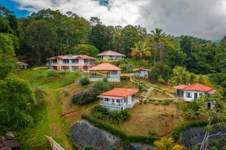 Colinas Tinamastes - 0