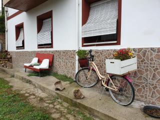 Casita de Aldea - Sotrondio - 9