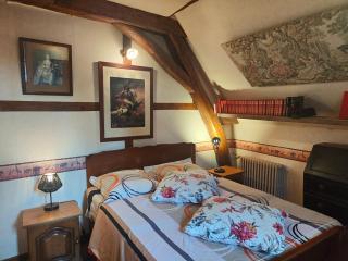 L'appartement des Tanneries - Tonnerre - 6