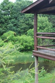 Bushwood Cabin - Logan - 6