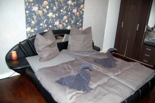 Ferienwohnung am Saalebogen - Calbe - 4