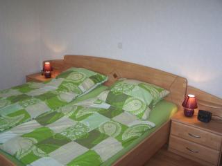 Ferienwohnung Mauer, Wohnung "Ost" - Heede - 0