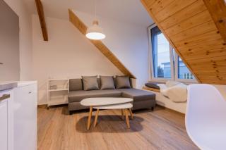 Romantický LOFT parking u hlavního nádraží - Olomouc - 4