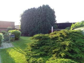 Blütenzauber Apartment No 7 - 1