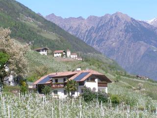 Unterbrunnerhof - Lana - 3
