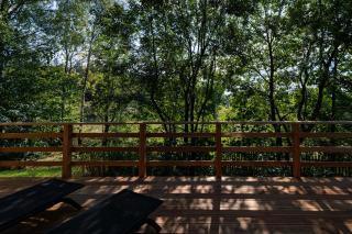 Alm-Lodge - Clausthal-Zellerfeld - 1