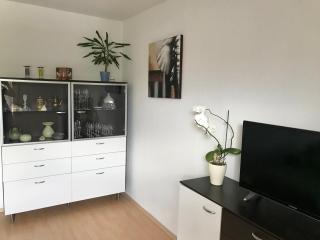 Ferienwohnung am Hainer See - Neukieritzsch - 9