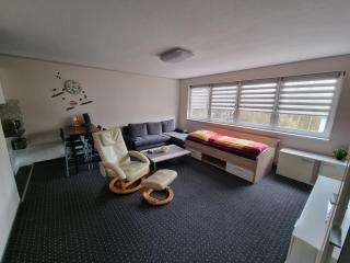 Ferienwohnung/Apartment Siegen - Siegen - 9