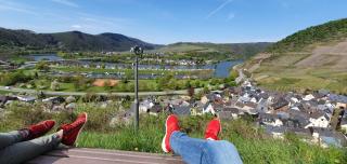 Ferienwohnung an der Mosel, Julia - Senheim - 8