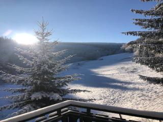 Rückzugsort am Teich in Winterberg - 4