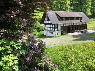 Chalet in Winterberg near Ski Slopes - Winterberg - 1