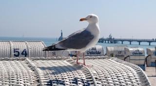 Ferienhof Kruse Wohnung 8 - 2