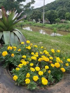 Canto do Beija-flor Rolante RS - 3