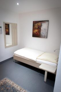 Hotel Zur Riede - Wolfsburg - 7