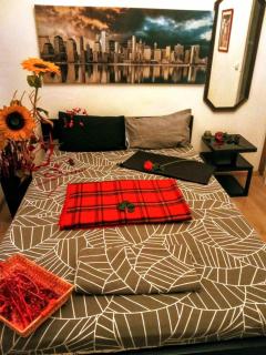 Jasmin apartments - Sajmište - 9