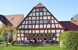 Schneeglöckchen - Colmberg - 3