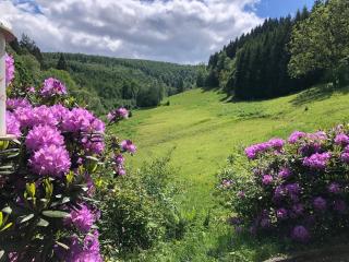 Villa in Winterberg near Ski Lift - Winterberg - 4