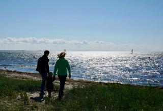Knusthof Lafrenz - Goldblick - Fehmarn - 4