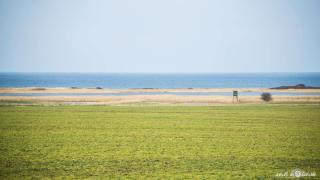 FerienDüne 8 - Kägsdorf - 7