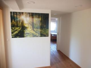 Lamm - Wohnung 4 - Spiegelberg - 6