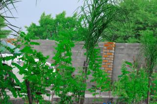 Golentle Home Stay - Maun - 9