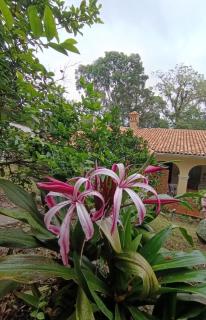 Hotel California Pacho - 3