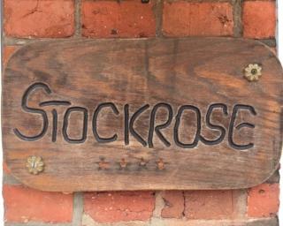Stockrose - Schashagen - 1
