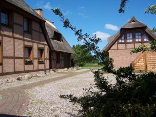 Darssblick - Fuhlendorf - 9