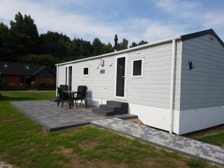 Chalet Schwarzkopfmöwe am Kransburger See 549 - 2