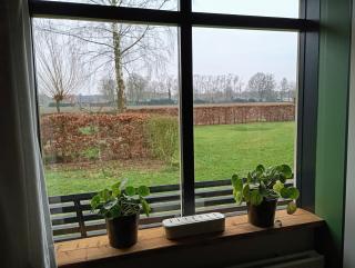 B&B Wolfershuus - Zelhem - 4