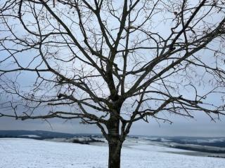 Eifel-Bau-Traum Schlich - Wershofen - 7
