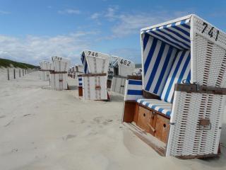 Exclusive Rollstuhlgerechte Wohnung " Ebbe " barreirefrei 3 Erw Klenkind in Ostfriesland - Utarp - 8