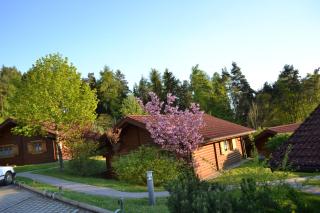 Blockhaus Hedwig Haus 10 - Stamsried - 9