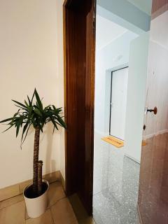 Magnolia 84 Apartment - Florencia - 8