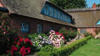 Strandhaus Falshöft 2 - Nieby - 7