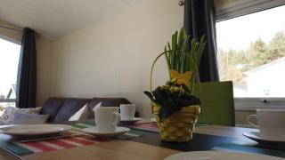 Chalet Alpenstrandläufer am Kransburger See 543 - 1